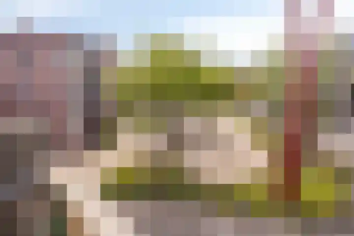 Iepenplein 7 B Amsterdam thumbnail 21
