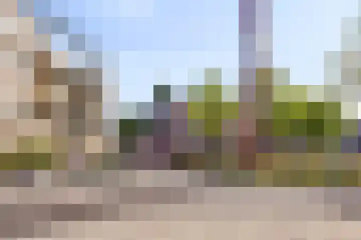 Iepenplein 7 B Amsterdam thumbnail 26