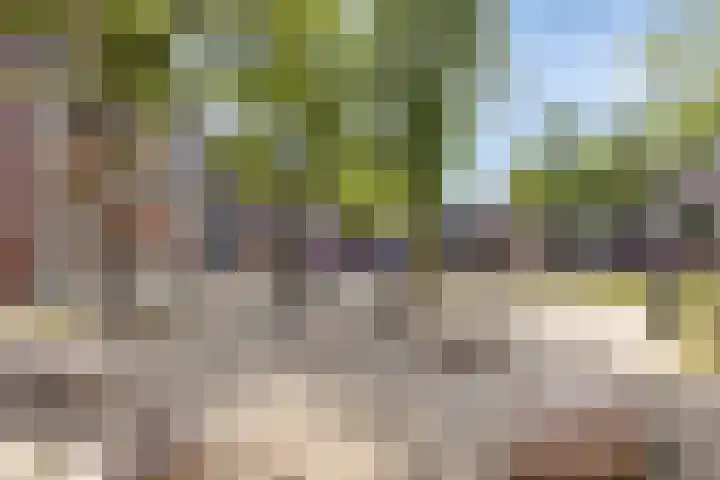 Iepenplein 7 B Amsterdam thumbnail 31