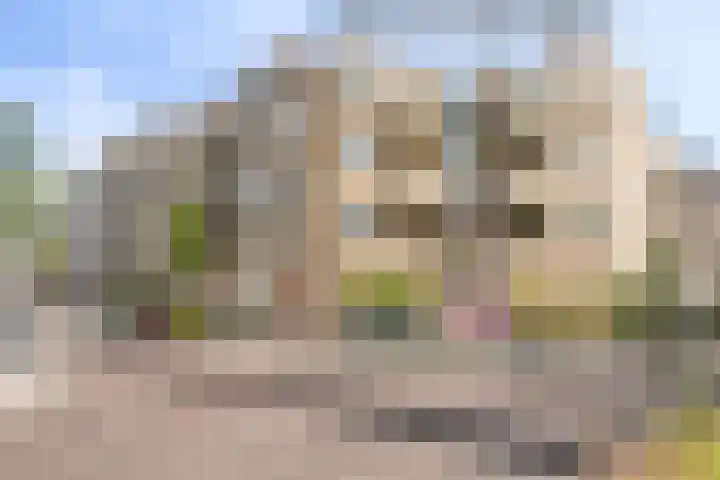 Iepenplein 7 B Amsterdam thumbnail 35