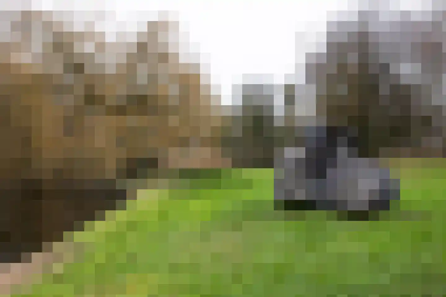 Iepenrode 20 Leiden thumbnail 27