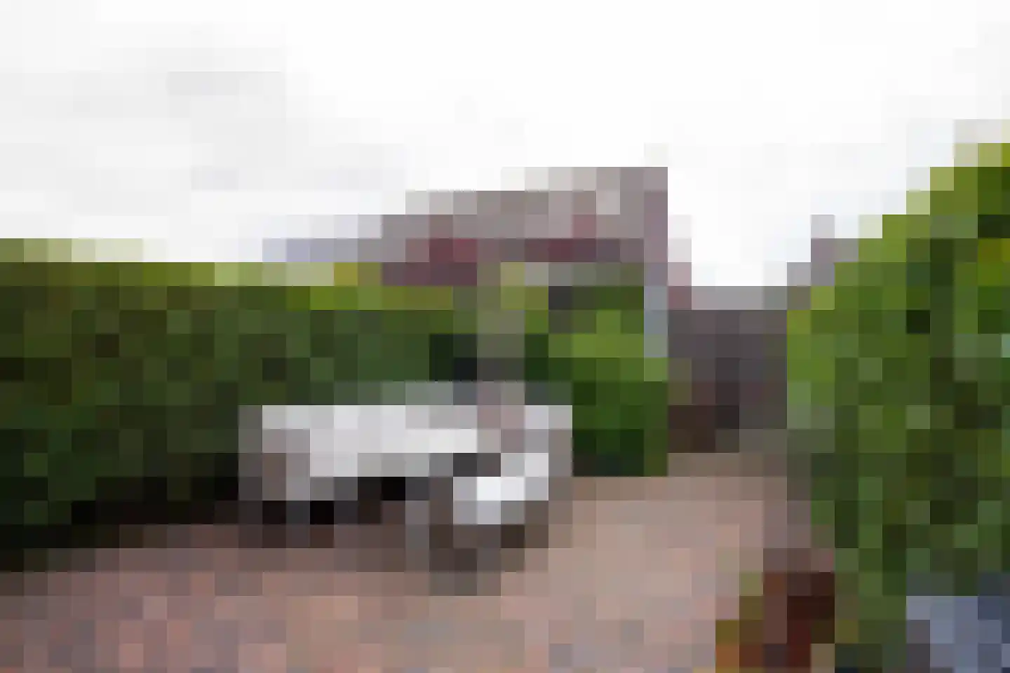 Iepenrode 20 Oegstgeest thumbnail 26