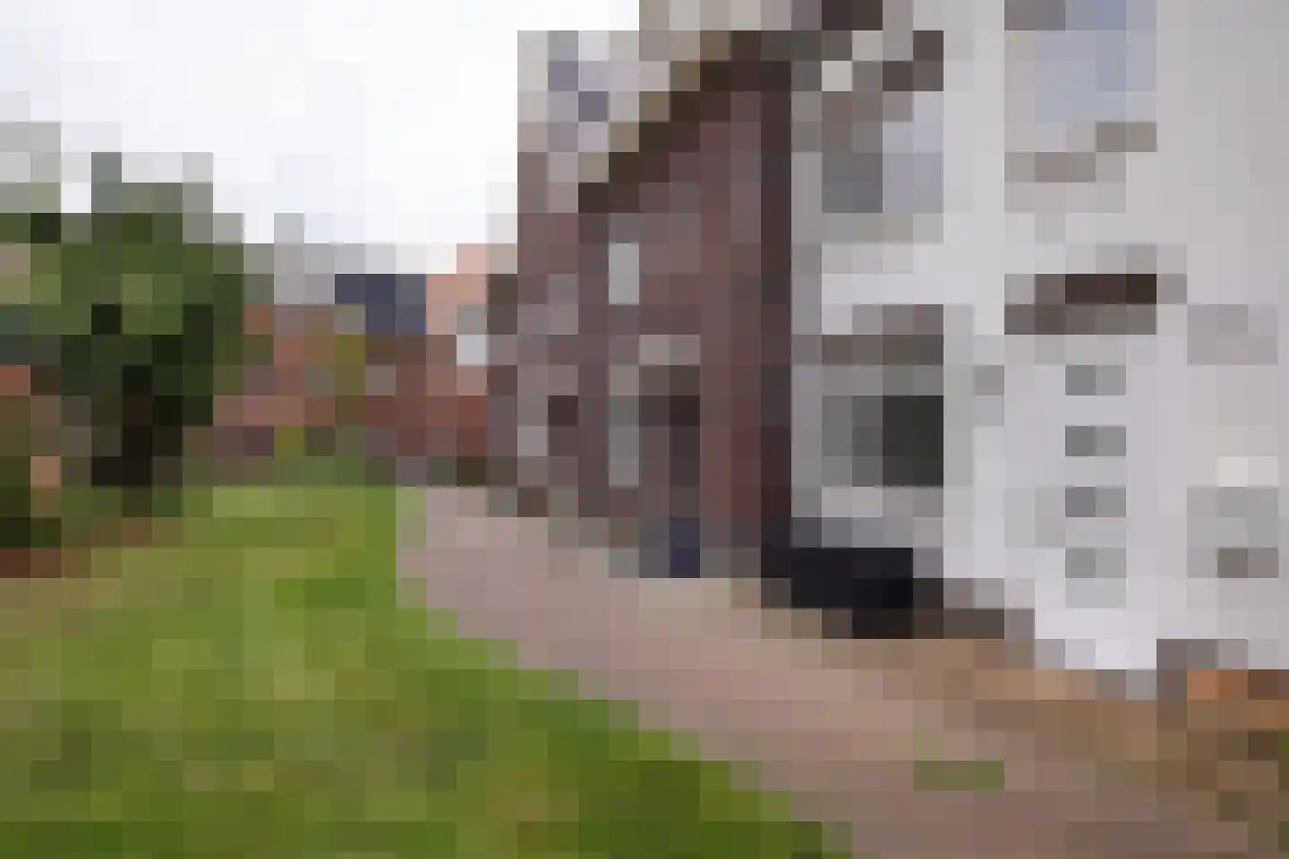 Iepenrode 20 Oegstgeest thumbnail 27