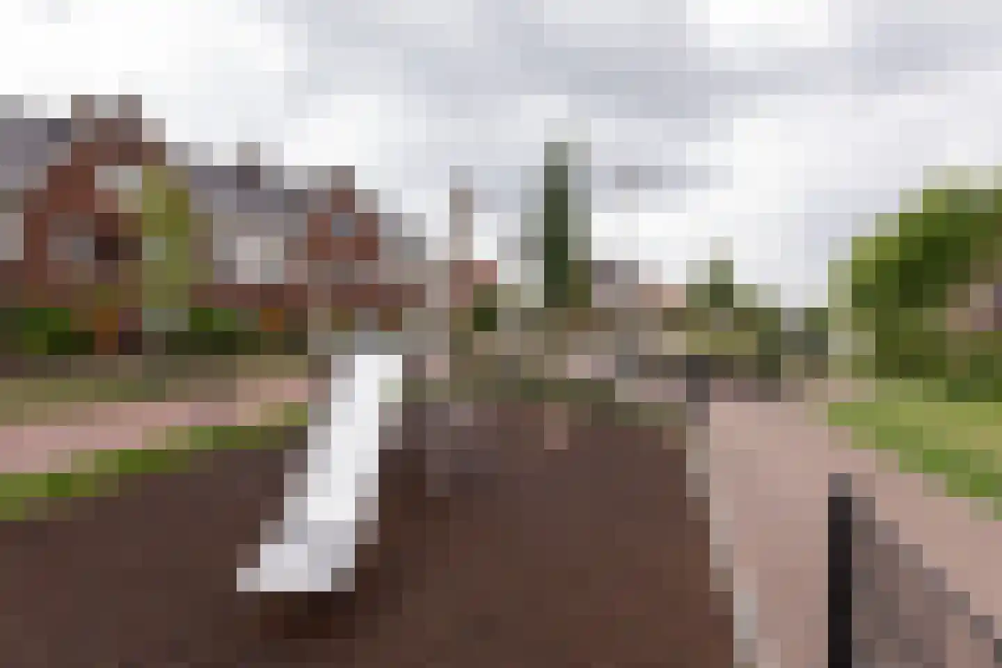 Iepenrode 20 Oegstgeest thumbnail 31