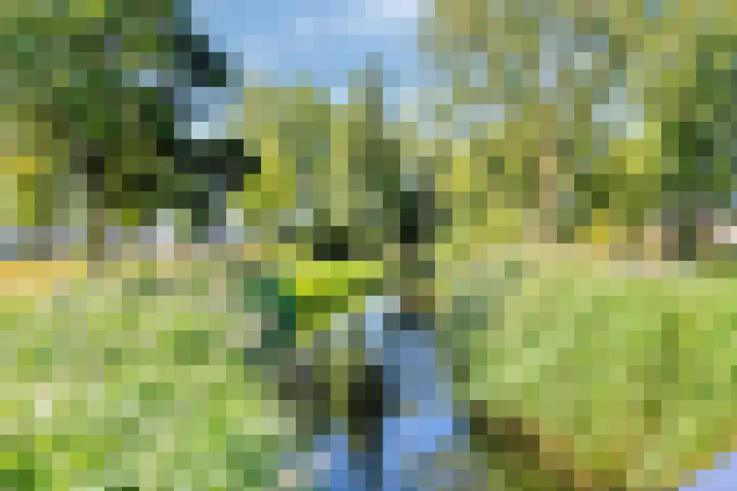 Iepenrode 22 Leiden thumbnail 33