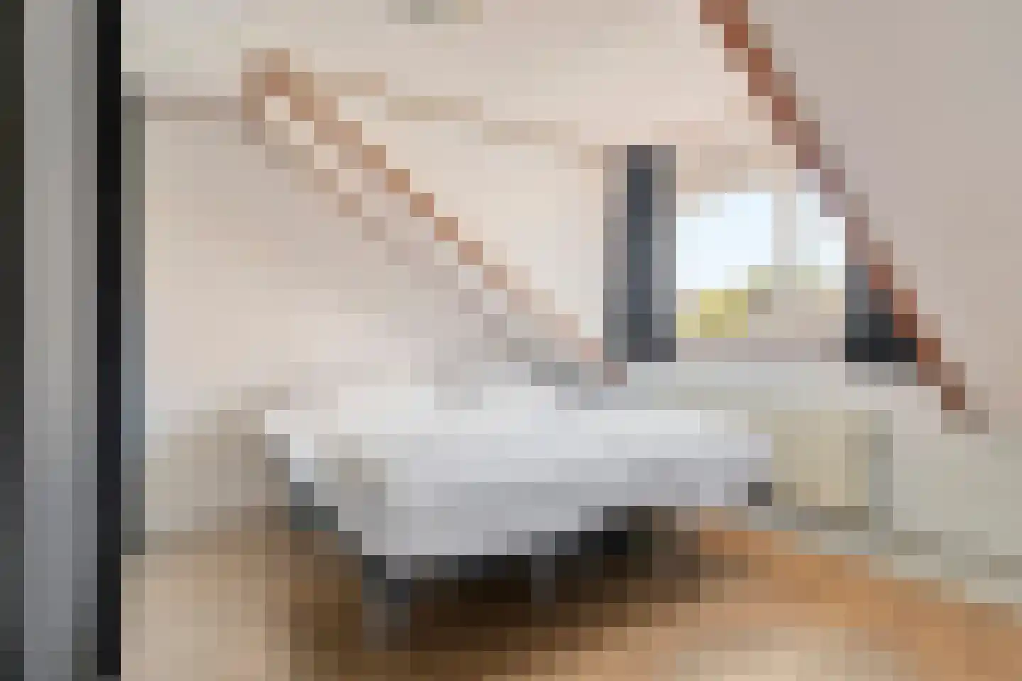 Iepenrodelaan 14 BV Amstelveen thumbnail 13