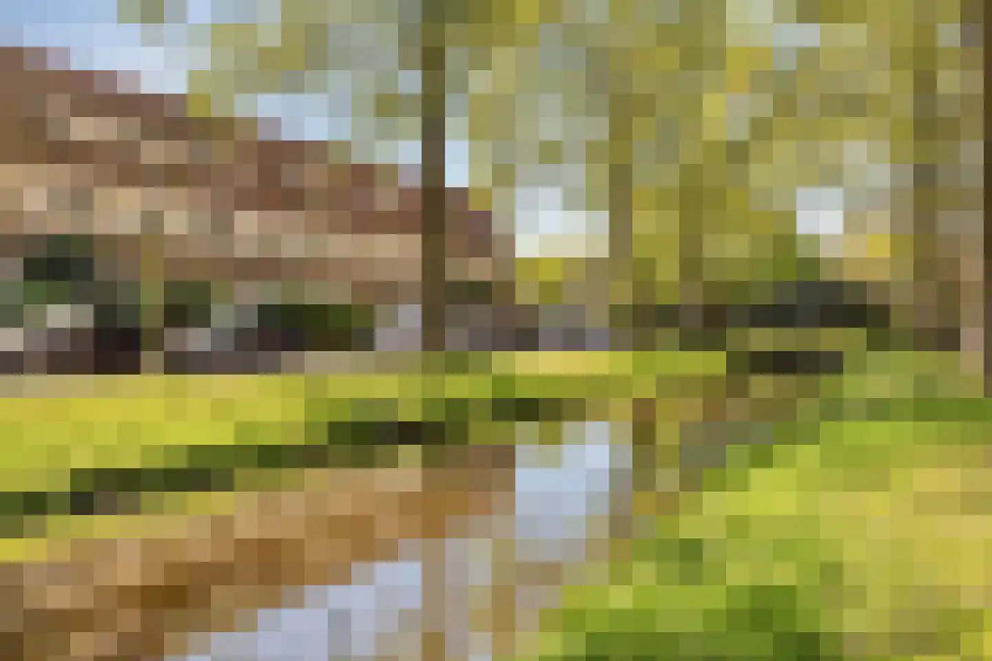 Iepenrodelaan 14 BV Amstelveen thumbnail 32