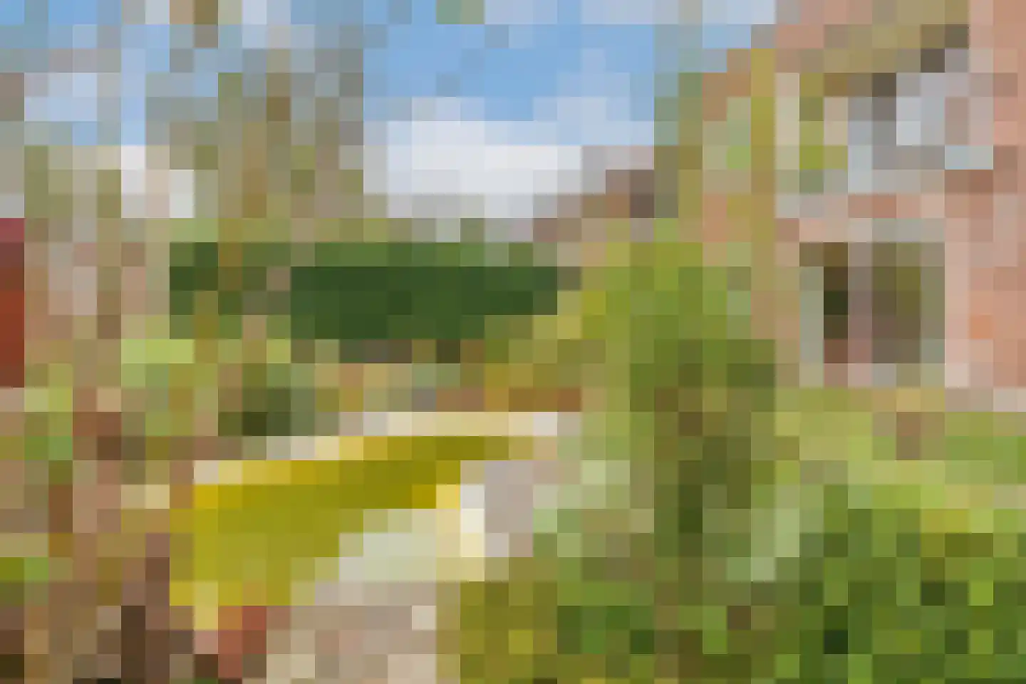 Iepenrodelaan 14 HS Amstelveen thumbnail 10