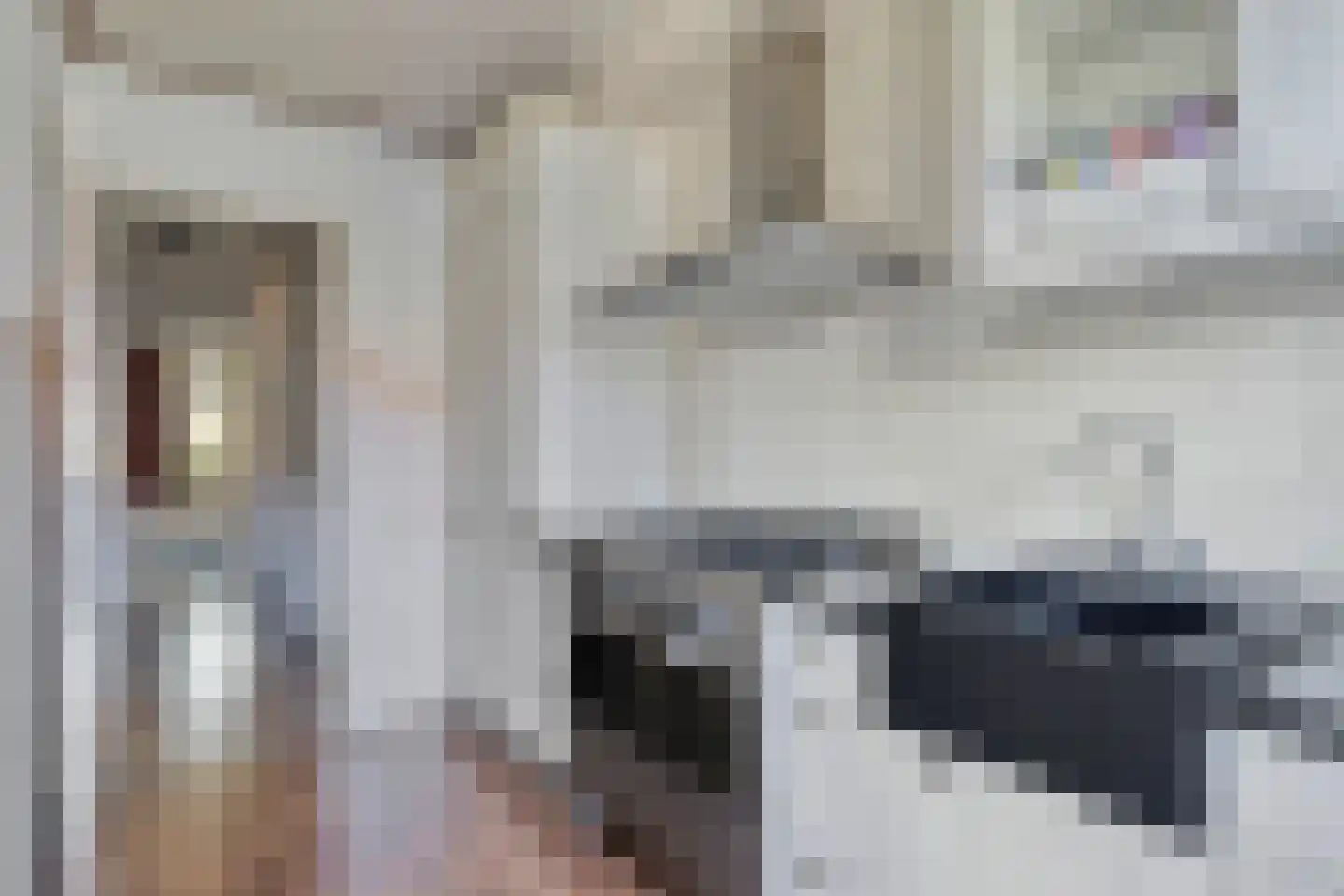 Iepenrodelaan 14 HS Amstelveen thumbnail 11