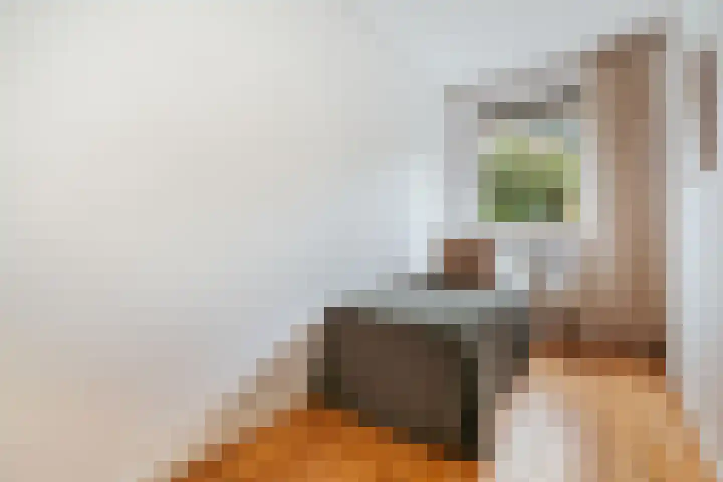 Iepenrodelaan 14 HS Amstelveen thumbnail 18