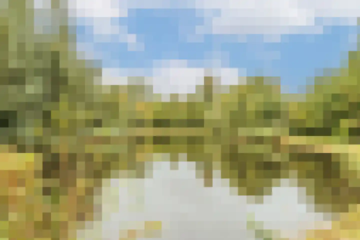 Iepenrodelaan 14 HS Amstelveen thumbnail 23