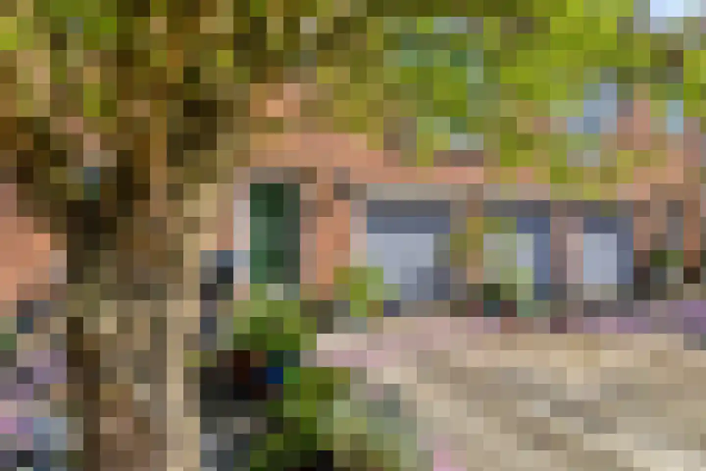 Iepenrodelaan 14 HS Amstelveen thumbnail 29