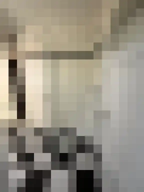 Iepenrodelaan 6 BVL Amstelveen thumbnail 4