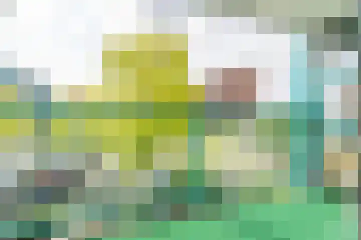 Iepenschans 11 Leiderdorp thumbnail 17