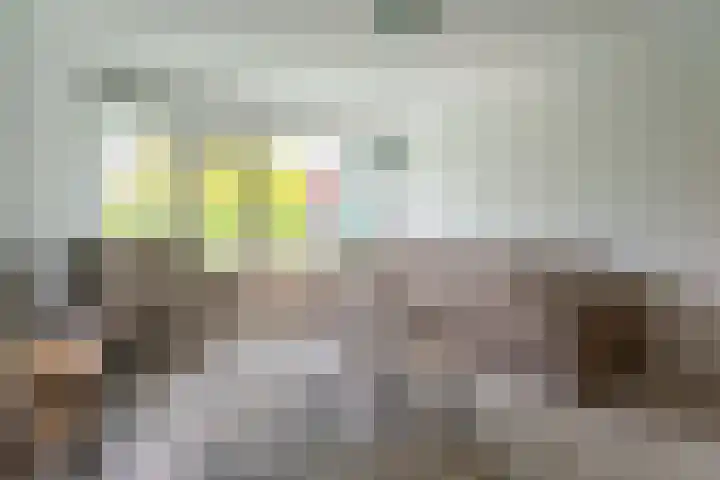 Iepenschans 11 Leiderdorp thumbnail 4