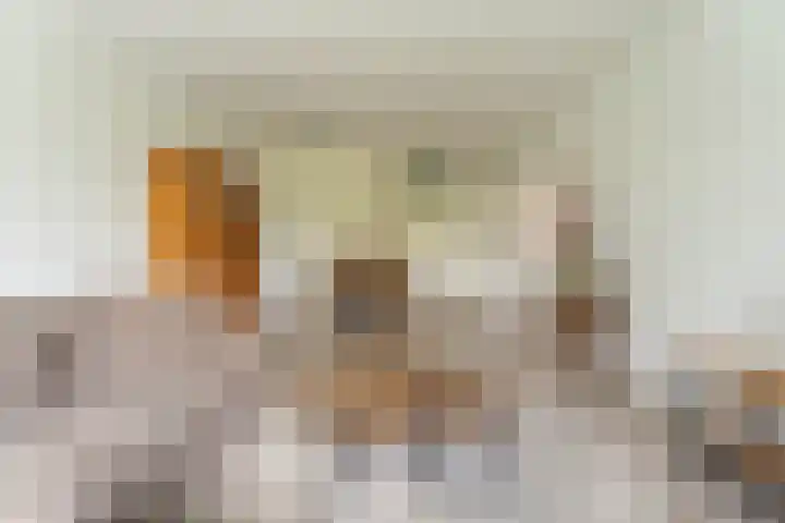 Iepenschans 11 Leiderdorp thumbnail 5