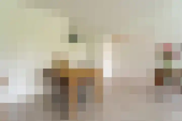 Iepenschans 11 Leiderdorp thumbnail 6