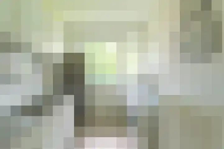 Iepenschans 11 Leiderdorp thumbnail 7