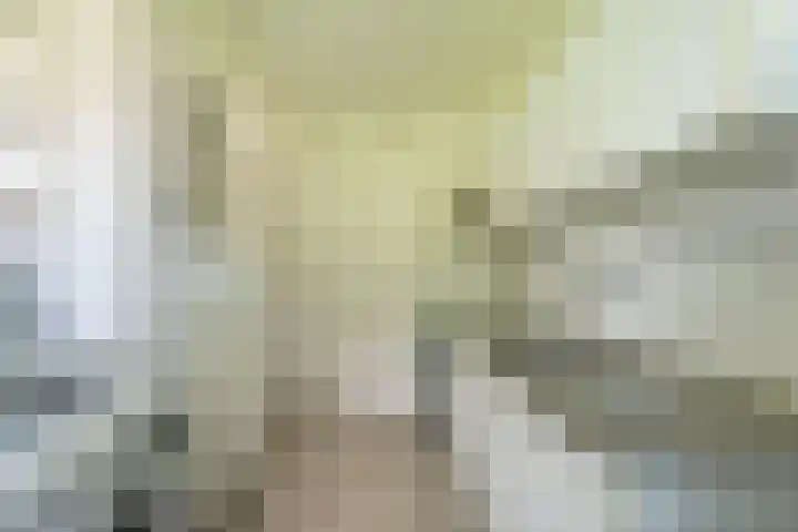 Iepenschans 11 Leiderdorp thumbnail 8