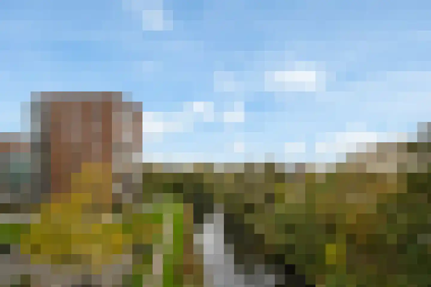 Iepenschans 40 Leiderdorp thumbnail 31