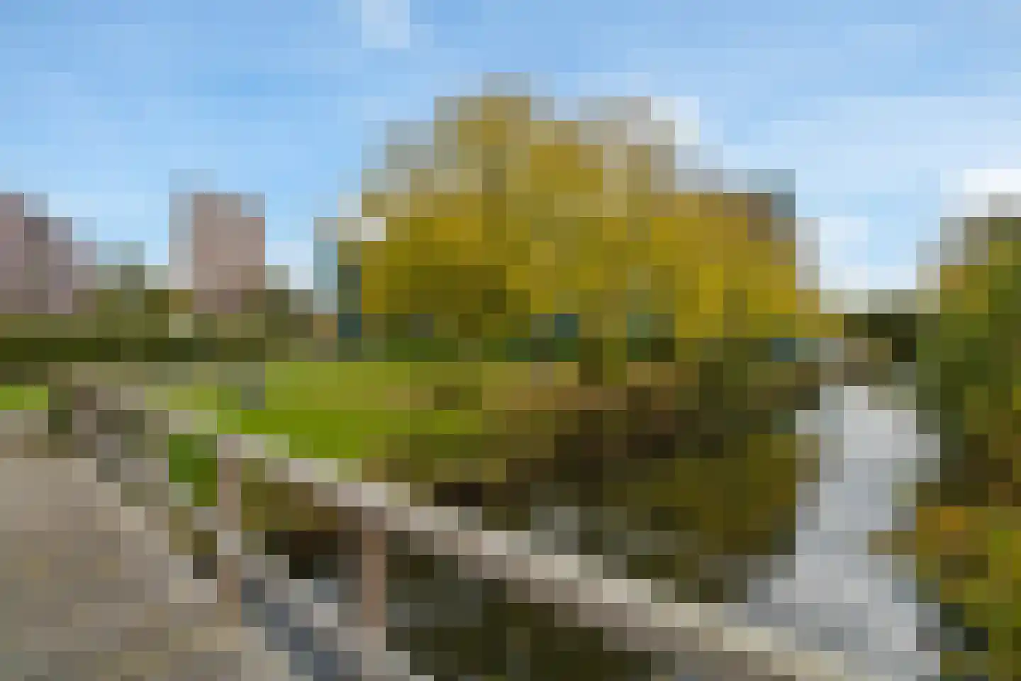 Iepenschans 40 Leiderdorp thumbnail 33
