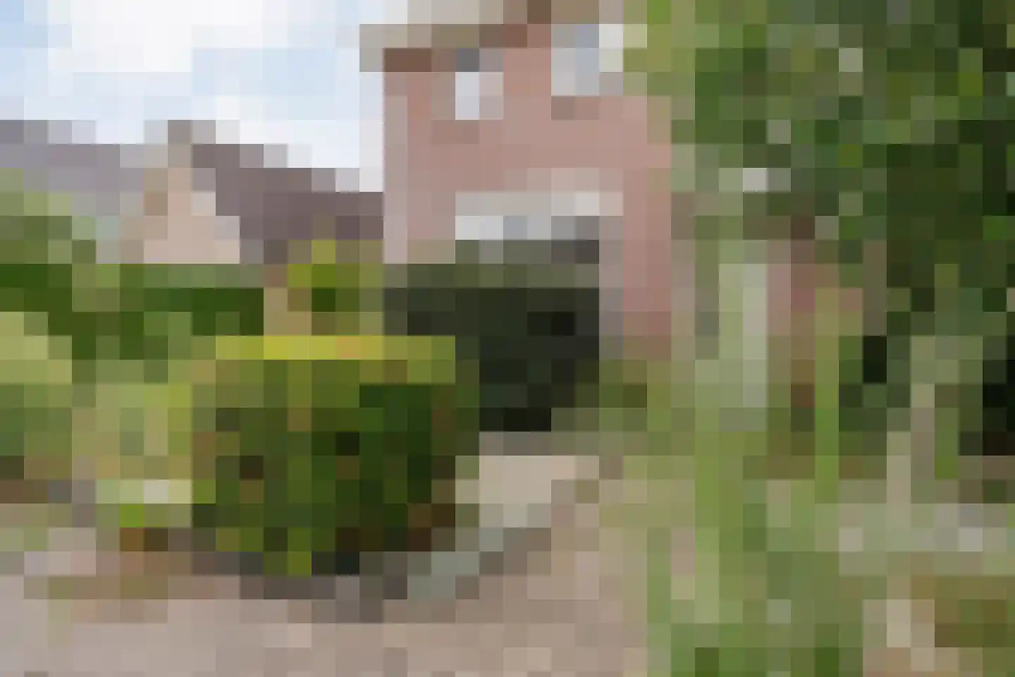 Iepensingel 166 Raalte thumbnail 5