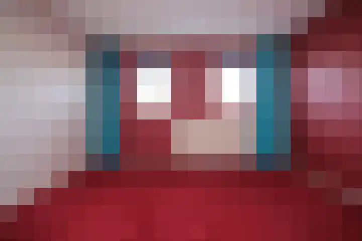 Iepensingel 57 Raalte thumbnail 11