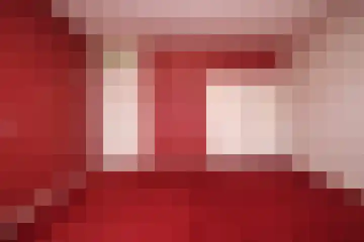 Iepensingel 57 Raalte thumbnail 12