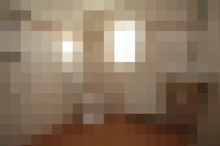 Iepensingel 57 Raalte thumbnail 13