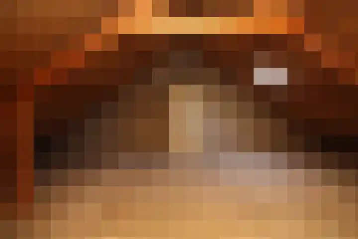 Iepensingel 57 Raalte thumbnail 14