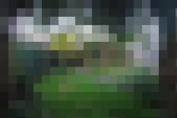 Iepensingel 57 Raalte thumbnail 17