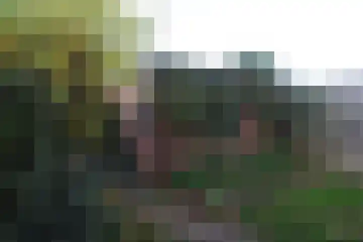 Iepensingel 57 Raalte thumbnail 18