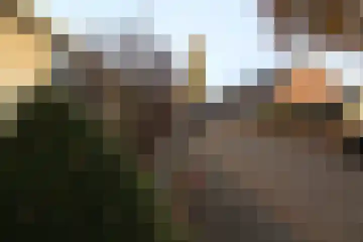 Iepensingel 57 Raalte thumbnail 19
