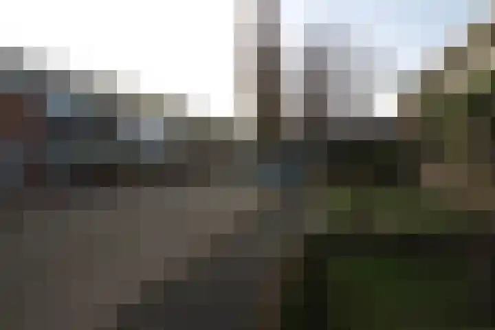 Iepensingel 57 Raalte thumbnail 20