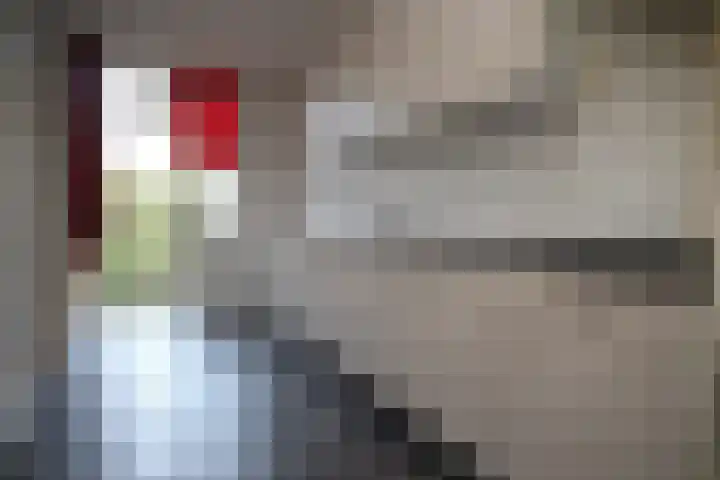 Iepensingel 57 Raalte thumbnail 5