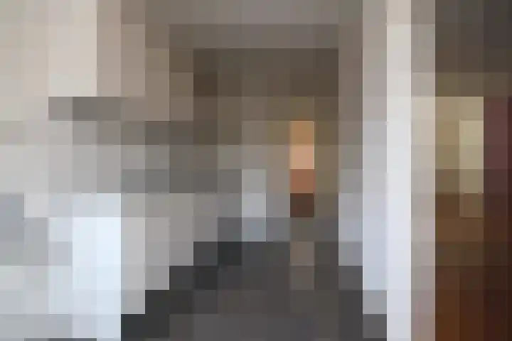 Iepensingel 57 Raalte thumbnail 6