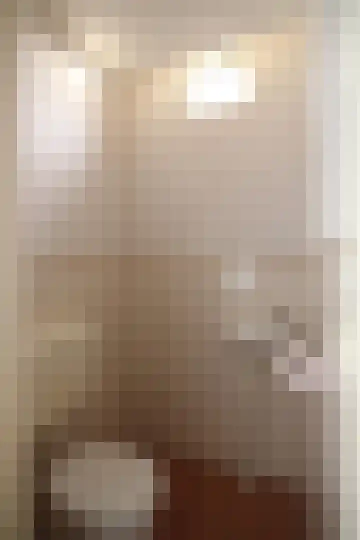 Iepensingel 57 Raalte thumbnail 8