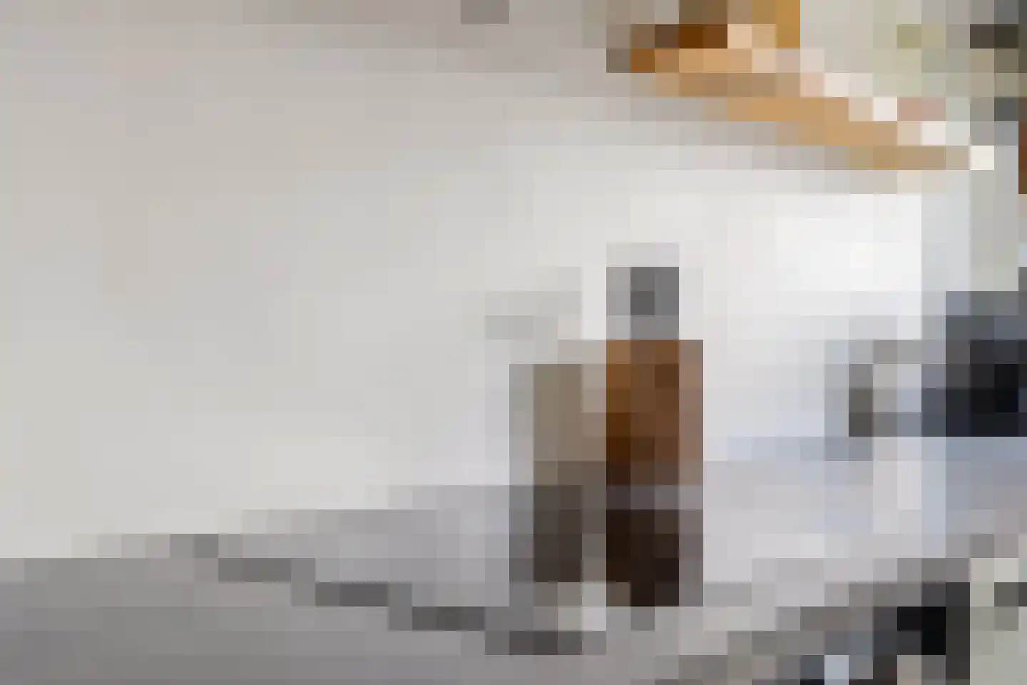 Iepenstraat 11 Eibergen thumbnail 16