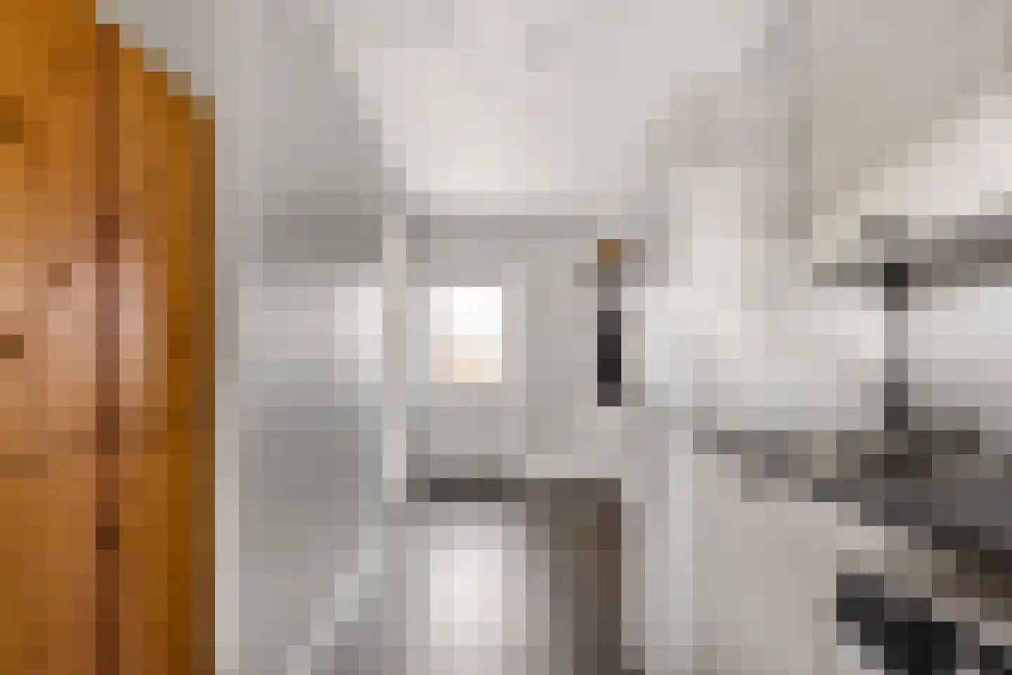 Iepenstraat 11 Eibergen thumbnail 19