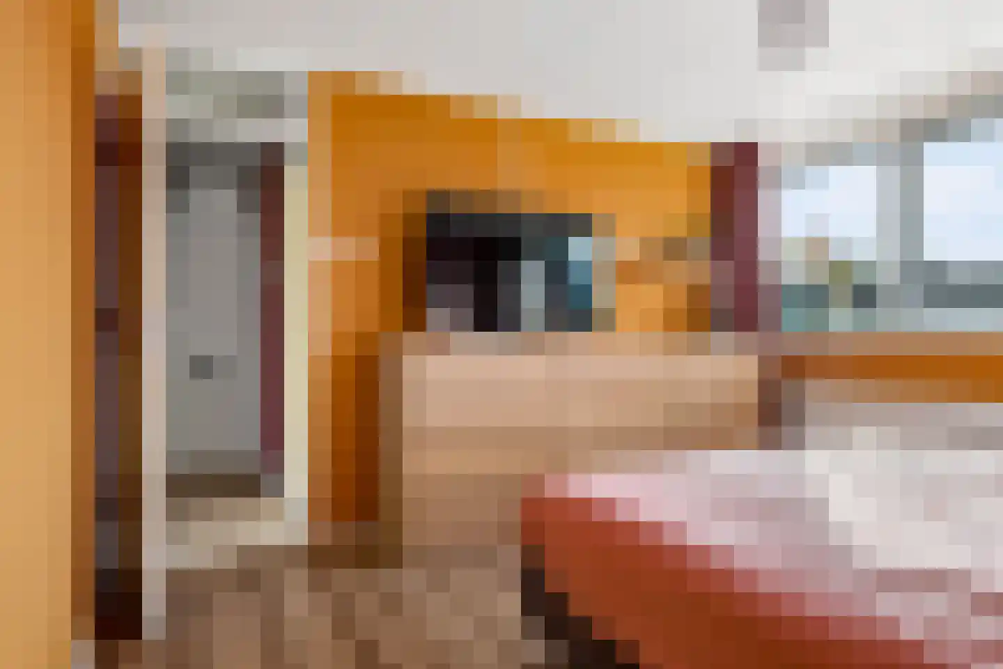 Iepenstraat 11 Eibergen thumbnail 25