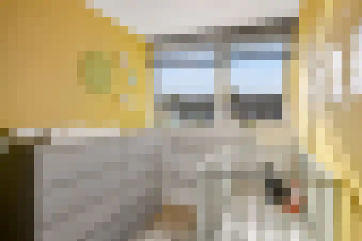 Iepenstraat 11 Eibergen thumbnail 26