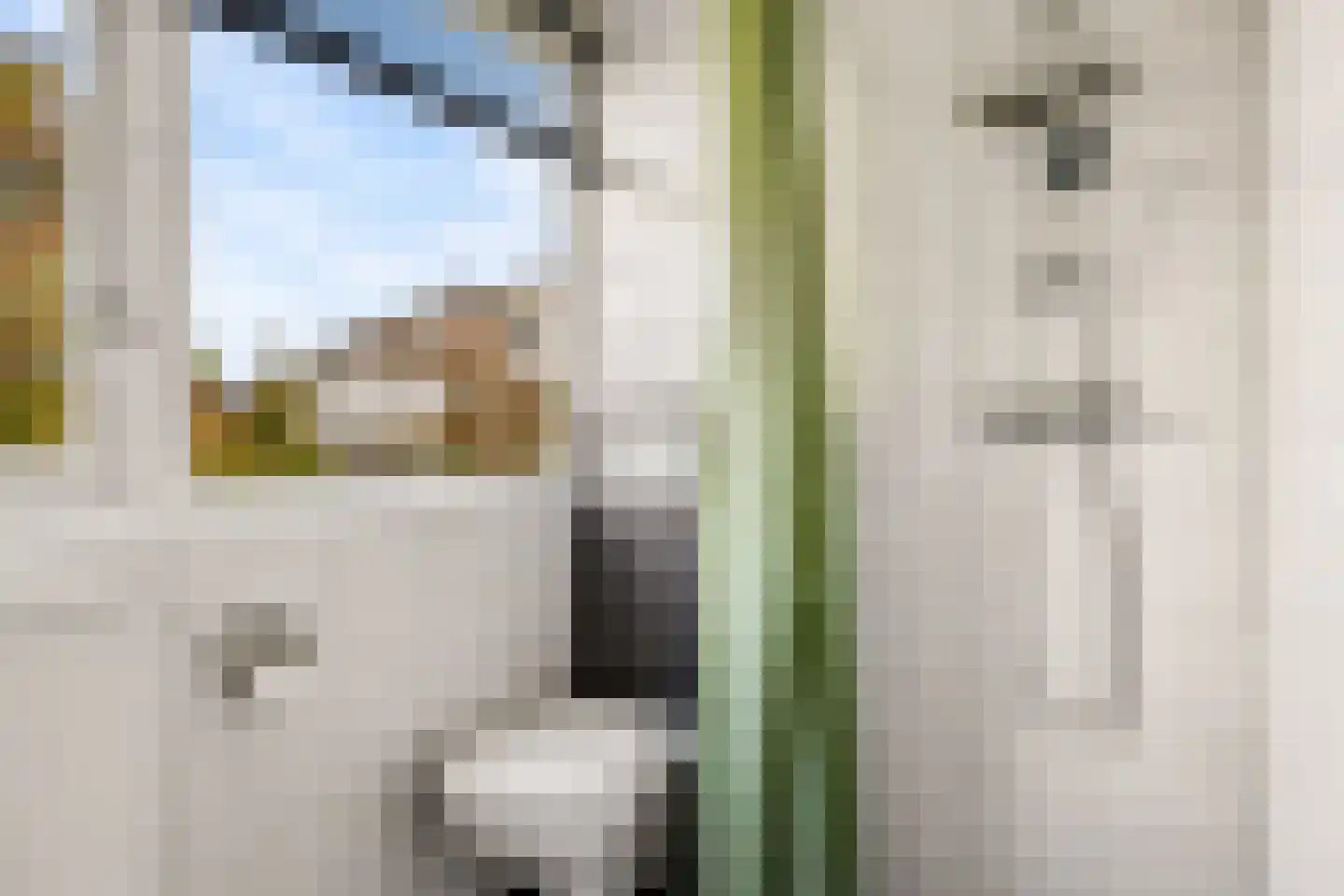 Iepenstraat 11 Eibergen thumbnail 30