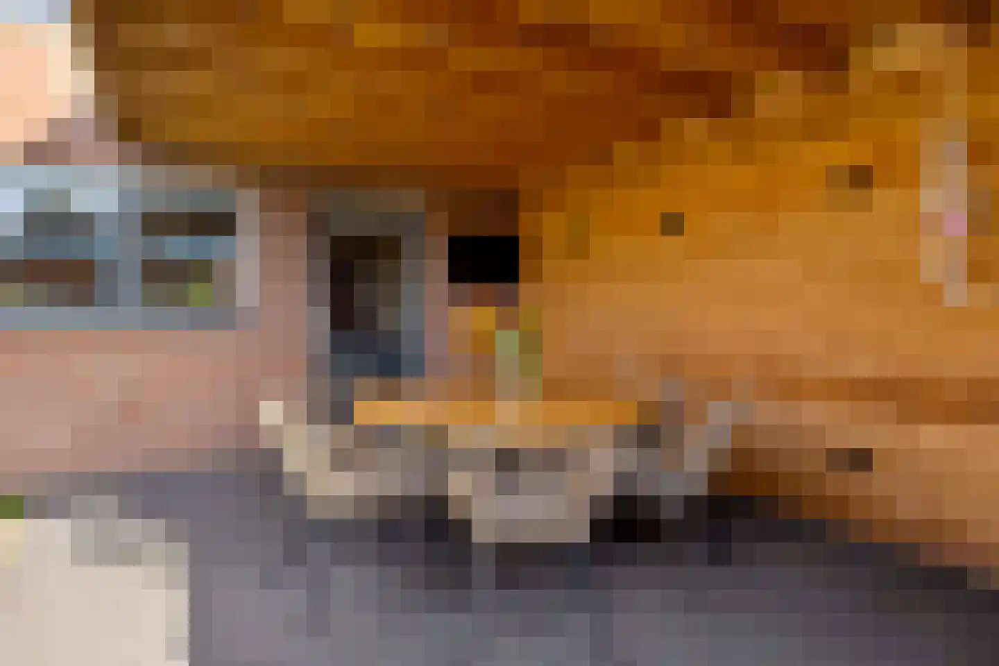 Iepenstraat 11 Eibergen thumbnail 35