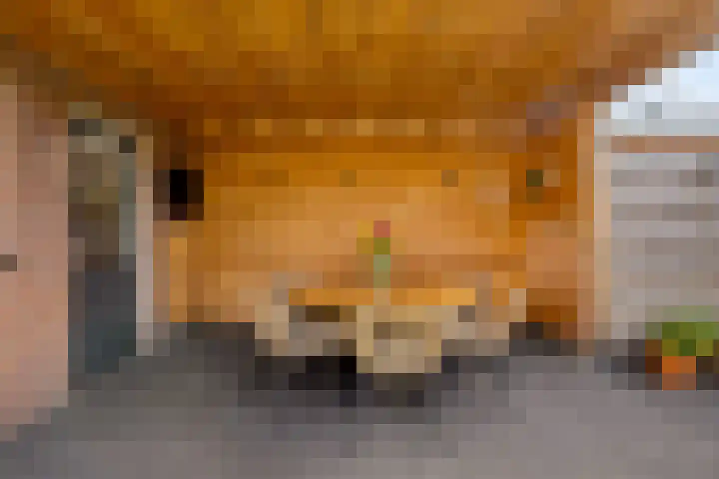 Iepenstraat 11 Eibergen thumbnail 36