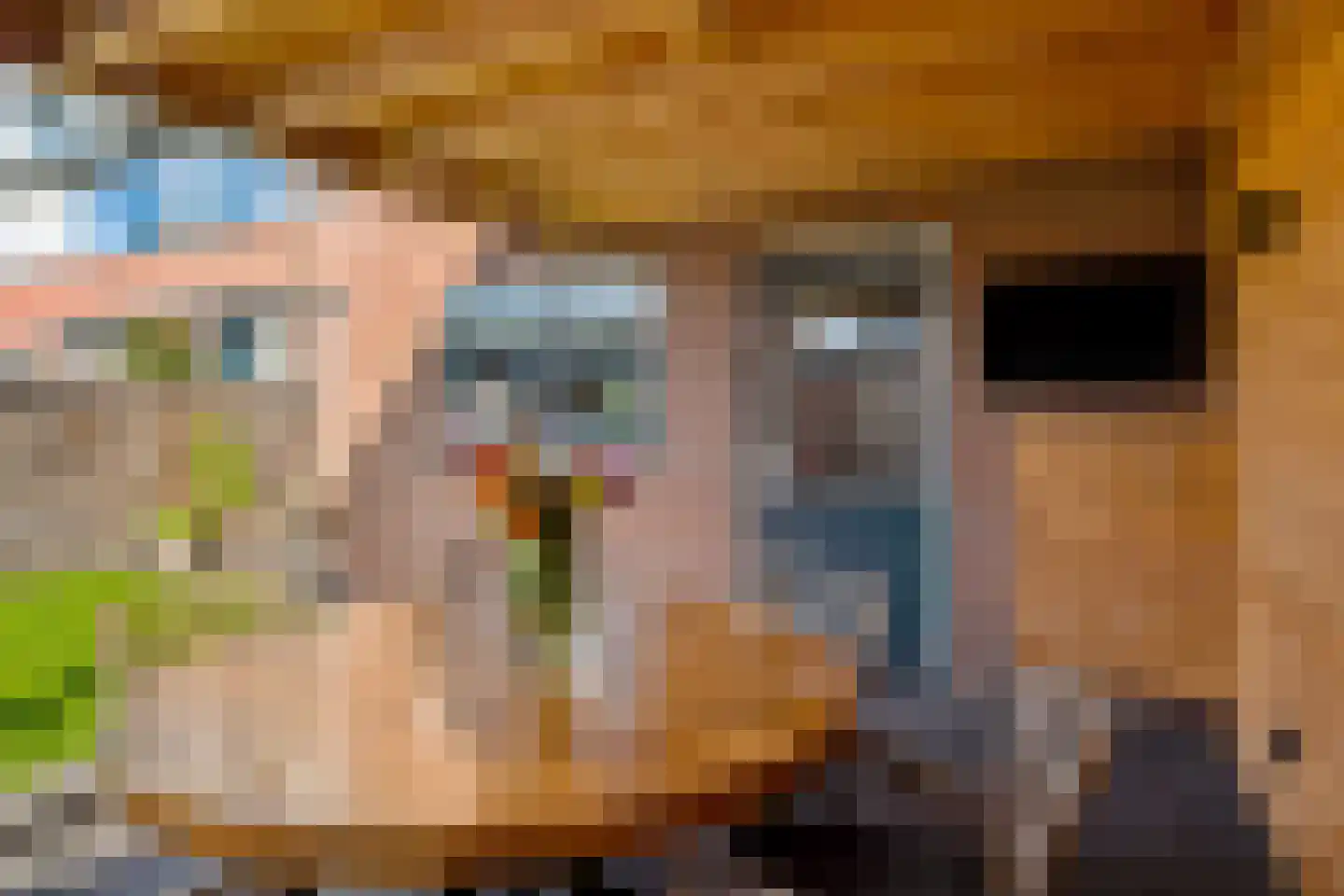 Iepenstraat 11 Eibergen thumbnail 38