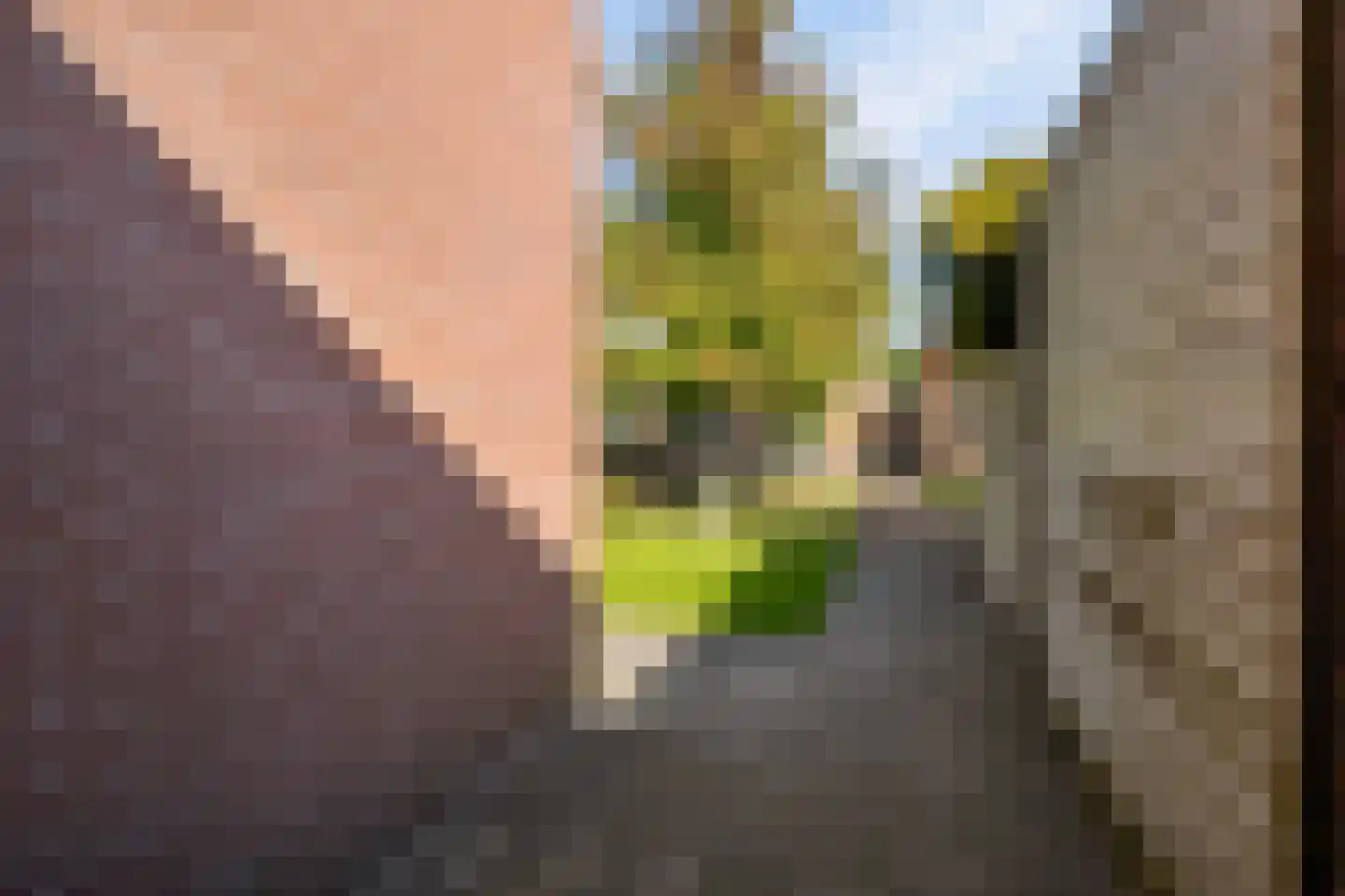 Iepenstraat 11 Eibergen thumbnail 50