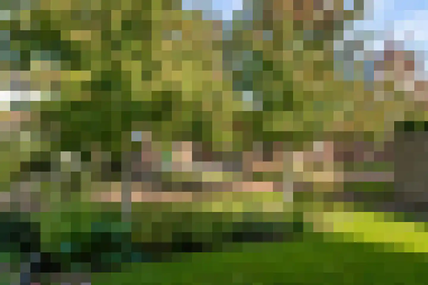 Iepenstraat 11 Eibergen thumbnail 53