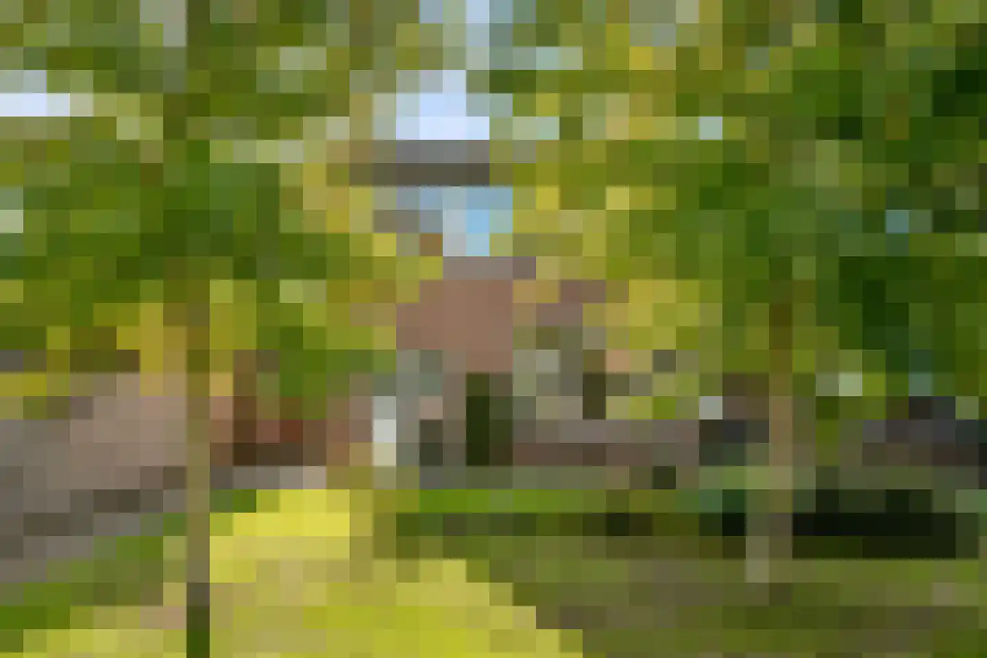 Iepenstraat 11 Eibergen thumbnail 55