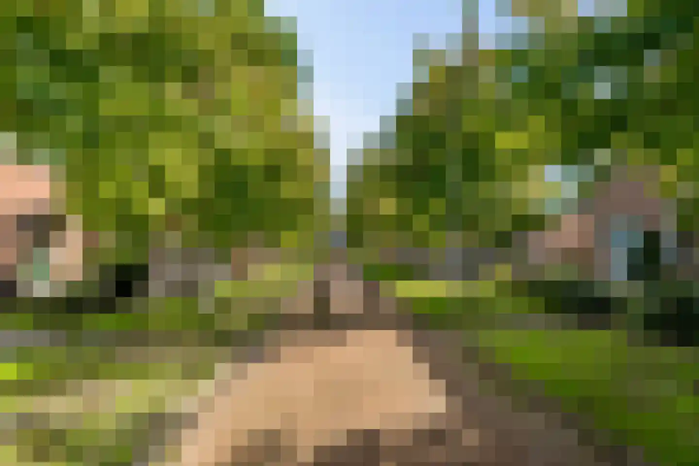 Iepenstraat 11 Eibergen thumbnail 56