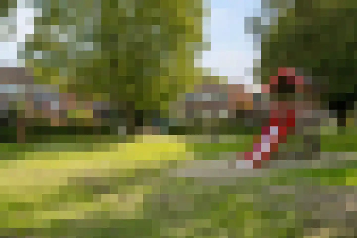 Iepenstraat 11 Eibergen thumbnail 58